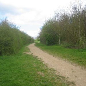 bridle3